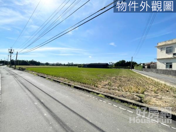 (愛)近66雙面臨路方正漂亮農地B