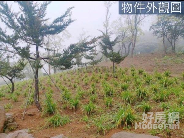 888三芝橫山超便宜土地地主誠意出售A