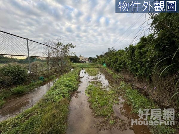 三芝區新庄段有水電平坦農地