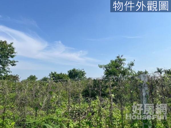 麻豆大面寬529坪乙種工業用地