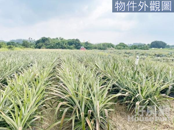 山上近水道博物館農地