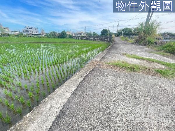 芎林近綠獅重劃區旁美農地