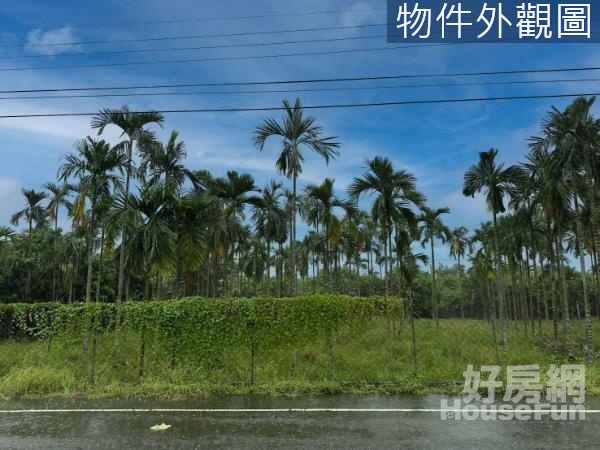 屏東高樹l好山好水l臨路有水有電農地