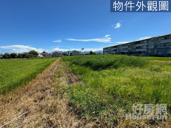 大洲雙面臨路足坪配建美農地