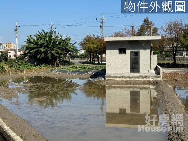 近國五 免千萬 開心小屋