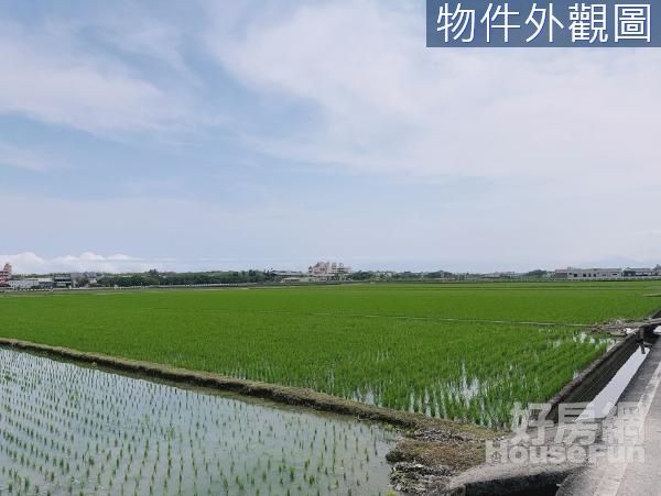 壯圍鄉過嶺國小田園風光可配建農地