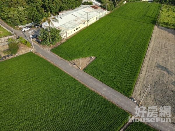 近耐斯廣場都計內方正美農地🌳