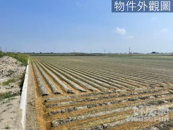 雲林台西鄉純樸五榔如意順心鄉間蒜蒜農地