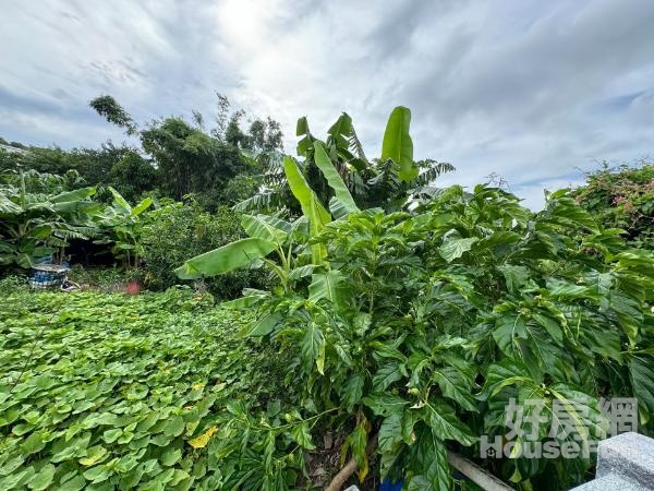 香山師院段增值農地