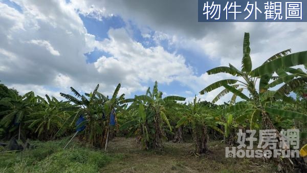 『內門』香蕉園一般農業區農牧用地