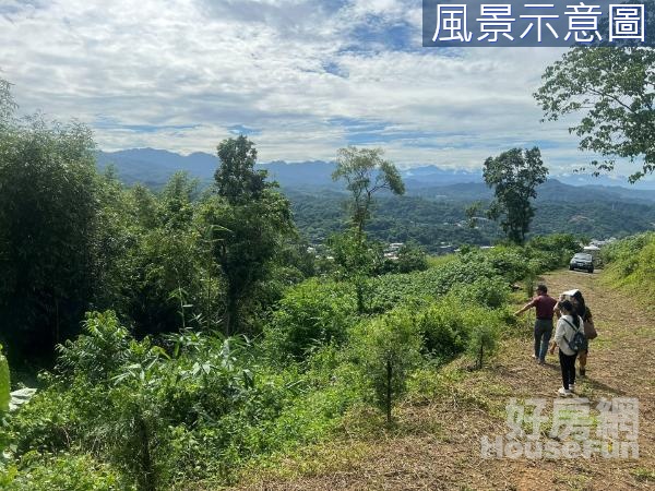 大坑國小都計內農地1472坪有水有電