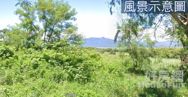 恆春鎮頭溝高價值經濟樹林休閒生態農地3