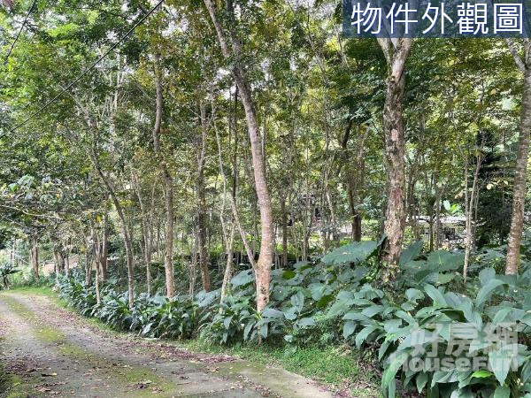 歡迎配件 歡迎配件 東勢花梨木景觀農地