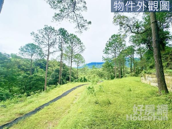 竹東松林苑渡假勝地