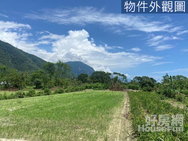 🍃獨家專售近秀林鄉公所~太魯閣山海美景原保農地