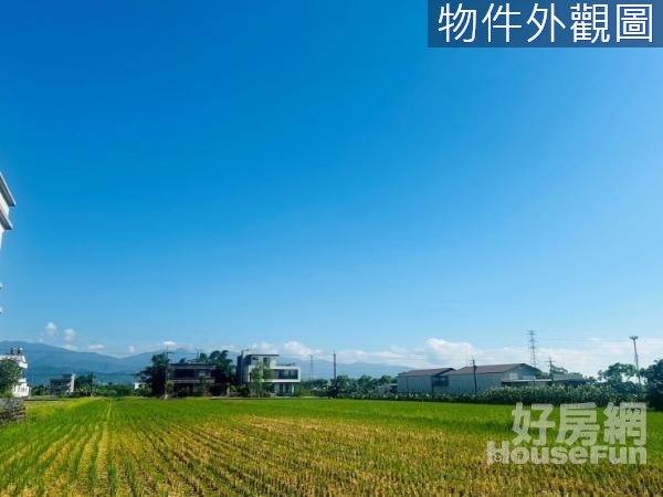 大洲近分洪堰漂亮方正優資靓美雙面路農地(可配建)