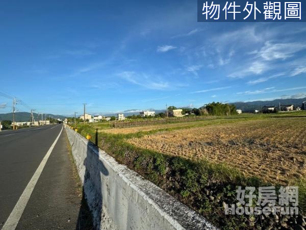 上將路13米路207美農地