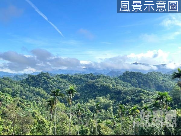  ⛰️專任霧峰象鼻坑1.9甲景觀農地 ⛰️