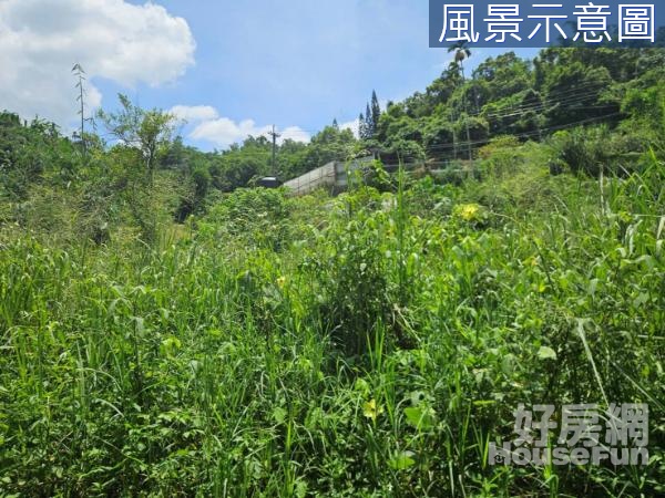 北屯大坑苧園巷風景區平坦農建地-4