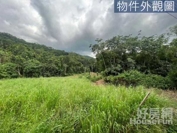 萬巒沿山公路旁面寬農地 面寬且免填土 地形方正