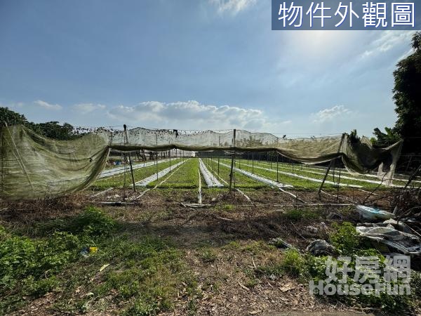 里港近國道十號⭐️地勢平坦地型方正農地