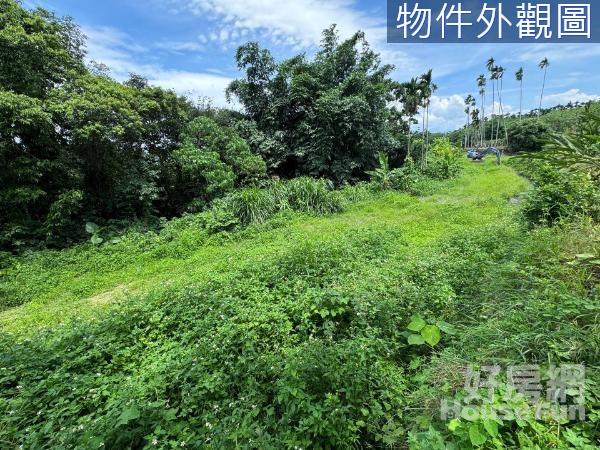 名間虎仔坑2.7分平坦臨路便宜農地