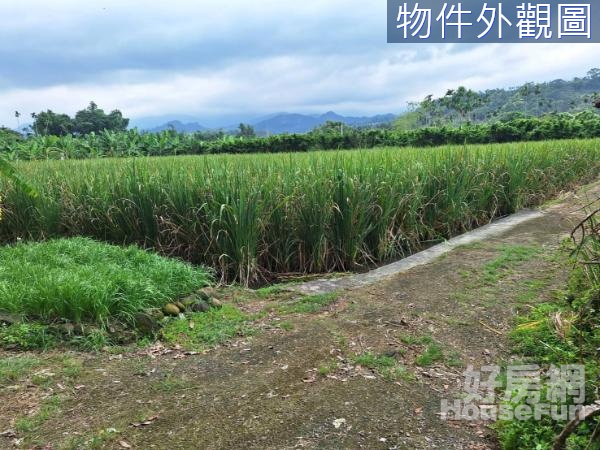 嘉義縣中埔鄉實用便宜可辦農保節稅好農地