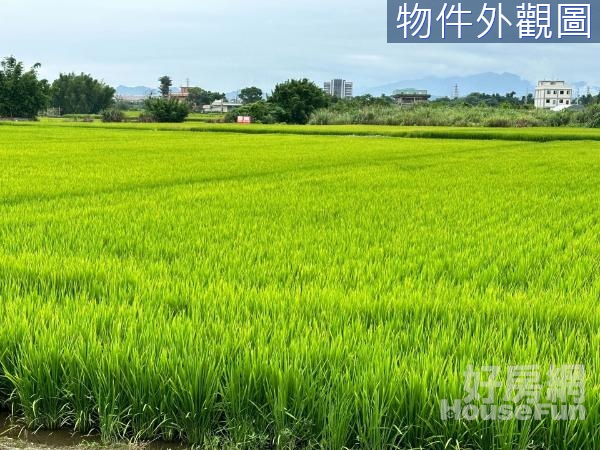 桃園大溪社角段農牧用地1081坪