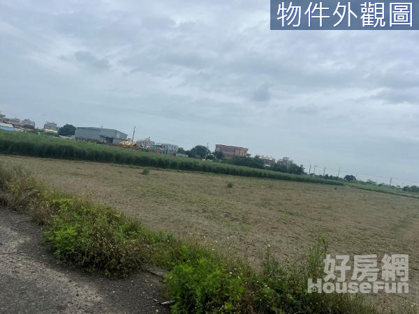 ①可農保漚汪臨路6米方正美農地