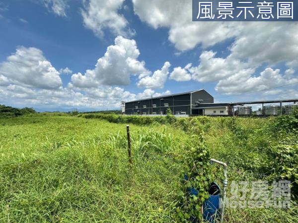 大樹台29線20米路上近佛光山美農地