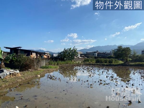 新北市金山三界壇路地形方正農地