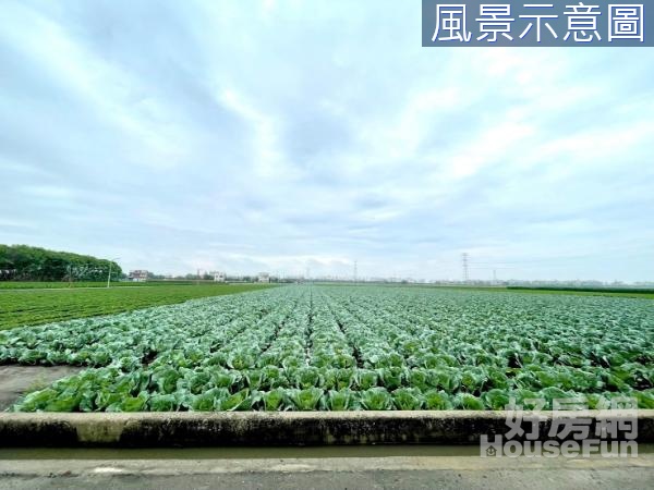 🌱親友專任｜雲林土庫開心農場｜低總價優質農地