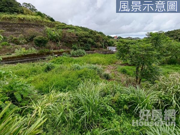 A308三芝農地臨路平坦有水