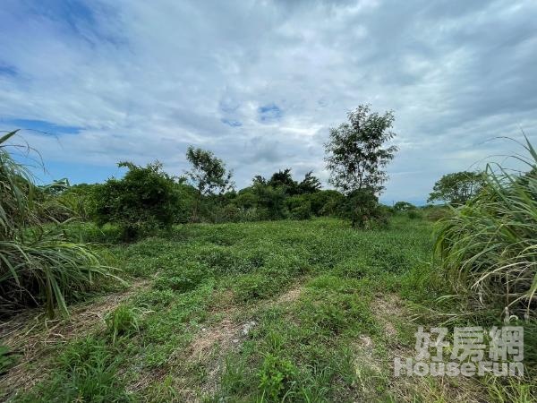 宜蘭市梅洲新段大坪數好規劃丁種建地+農地