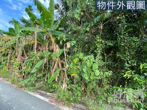 田寮區(田草崙)超便宜建地