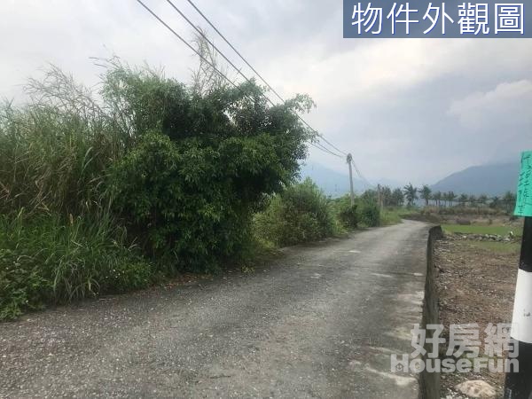 光華村城中一街綠意盎然田園美地  F091