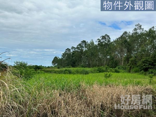 台東長濱田組段便宜好農地-農海K26