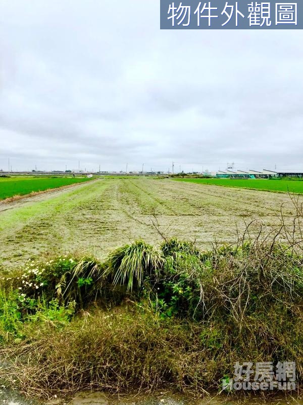 【雲林水林鄉】低總價方正美農地