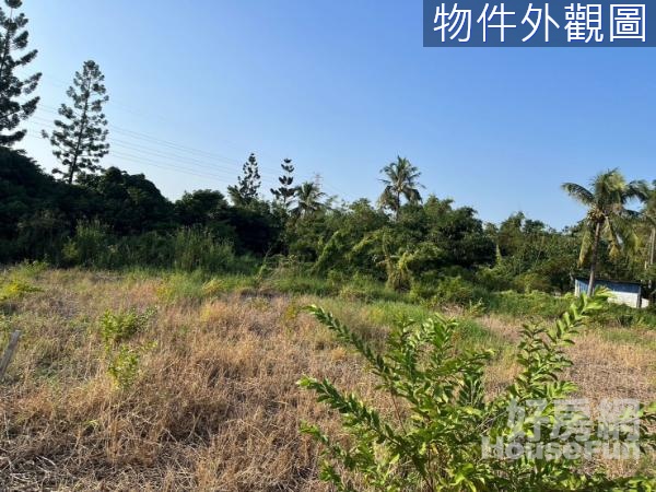 新化近國道八號與果菜市場鄰大路大面寬農地