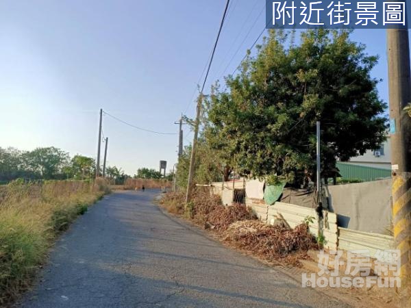 大樹永豐餘紙廠地形方正美都計農地							