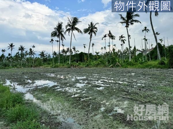 屏東內埔海尼根啤酒廠漂亮都農近大路邊