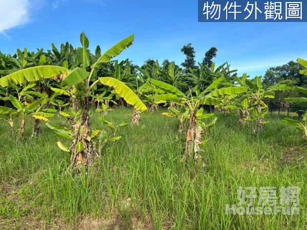 花蓮吉安田園農地~附合法資材室~ B828