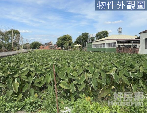 屏東高樹雙面臨路農地