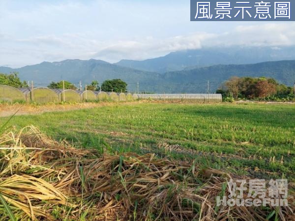 有機就健康-豐田美農地(一)15F013