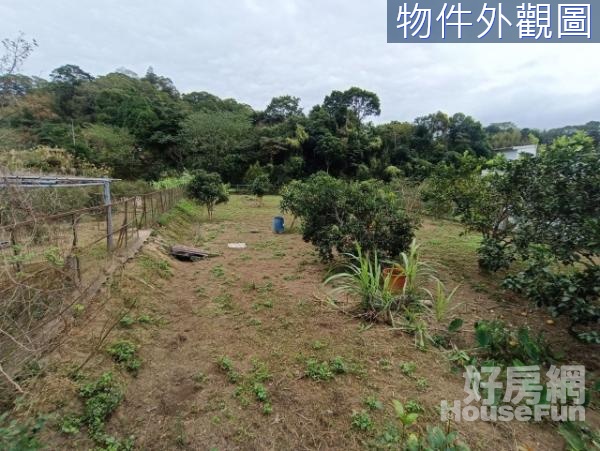 ✨新竹橫山✨離塵不離城的山林農場