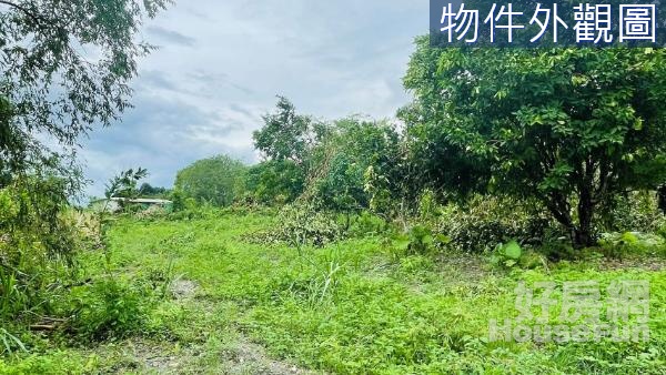 🌿壽豐空中大學旁阿噗的退休田園樂活農地🌿