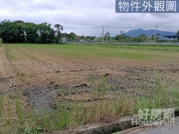 吉安近知卡宣大路邊水源足方正農地