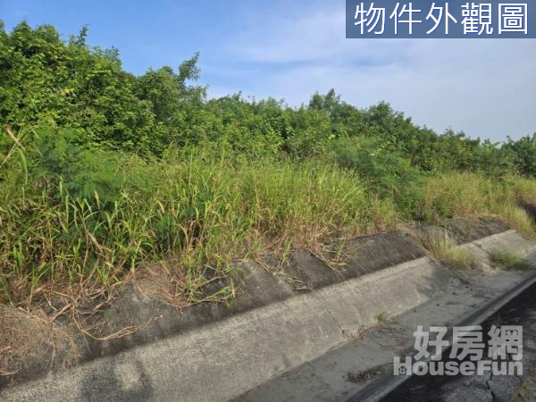 近台江大道411坪都內方正投資農地