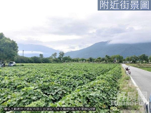 花蓮縣吉安鄉台9線上1甲農地平坦