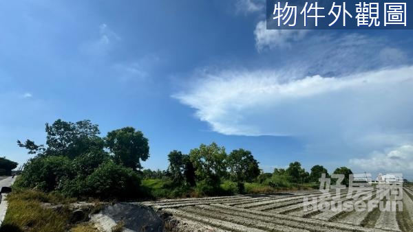 崙背稀有獨家釋出精緻7.3分農地